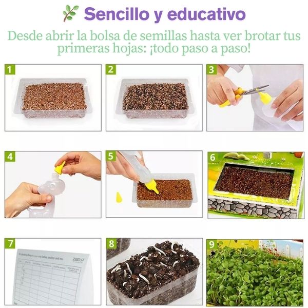 🐮 Rural Scenery – Casita de Cartón para Armar + Mini Jardín 🌱