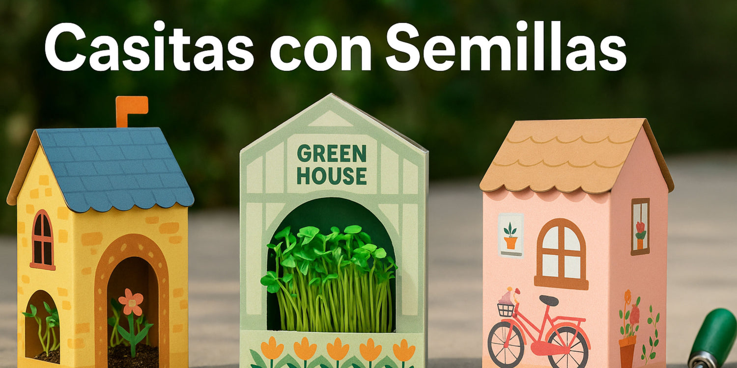 Casitas Vivas: Planta, Crea y Observa